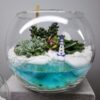 Флораріум із сукулентами Морська затока
