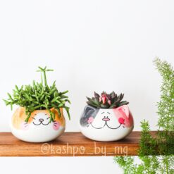 Кашпо коти