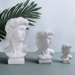 Кашпо Давид