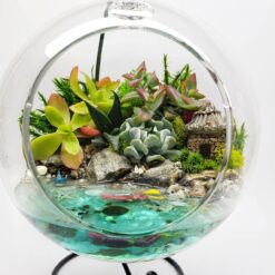 Флорариум с суккулентами