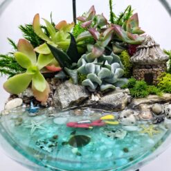 Флорариум с водолазом