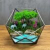 Флораріум зі стабілізованим деревом