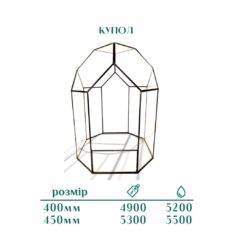 флорариум, мастре класс, хобби, времяпроповождение, подарок