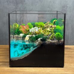 Флорариум в кубе с суккулентами