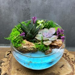 флораріум, флораріум з сукулентами, сукуленти, імітація водойми, декоративний флораріум, флораріум для дому, флораріум для офісу, тропічний флораріум, екзотичний декор, рослини для інтер'єру, декоративні рослини, стильний декор, міні-садок, флораріум зі склом, незвичайний флораріум, флораріум для подарунка, сукуленти в склі, композиція з сукулентів, водний флораріум, екзотичні рослини