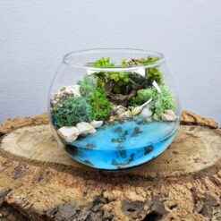 Моссариум Magic Mini "Джунгли", 11х10 см