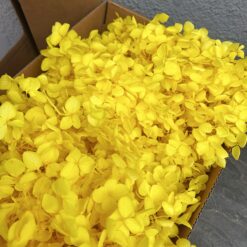 стабілізована гортензія, сухоцвіти, квіти для свічок, декор, квіти для букетів, гортензія