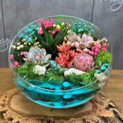 флораріум з сукулентами