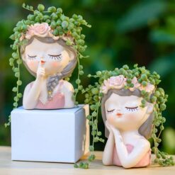 Кашпо для суккулентов купить