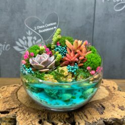 флораріум з сукулентами