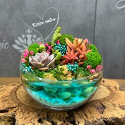 флораріум з сукулентами