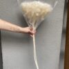 гортензия стабилизированная молочная на стебле, стабилизированная гортензия для декора, гортензия на длинном стебле, цветок стабилизированный гортензия, декоративная гортензия на стебле, гортензия стабилизированная молочная, гортензия для флористических композиций, цветок гортензия стабилизированный, букет из стабилизированной гортензии, гортензия для интерьера, натуральная гортензия стабилизированная, декор из молочной гортензии, гортензія стабілізована молочна на стеблі, стабілізована гортензія для декору, гортензія на довгому стеблі, квітка стабілізована гортензія, декоративна гортензія на стеблі, гортензія стабілізована молочна, гортензія для флористичних композицій, квітка гортензія стабілізована, букет зі стабілізованої гортензії, гортензія для інтер’єру, натуральна гортензія стабілізована, декор з молочної гортензії