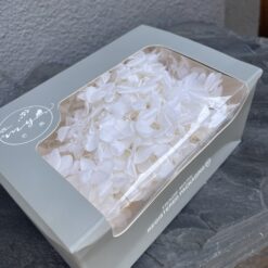 Стабілізована гортензія Premium – 20 г – колір Білий