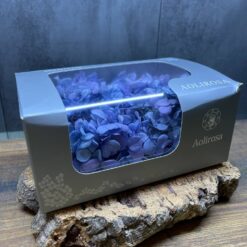стабілізована гортензія рожева, стабілізована гортензія фіолетова, декоративна гортензія, квіти для декору, рожева гортензія, стабілізовані квіти, стабілізована гортензія 10 грам, квіти для квіткових композицій, квіти для прикрашання, рожева декоративна гортензія, квіти для інтер'єру, сухоцвіти для декору, рожева гортензія стабілізована, квіткові композиції з гортензії, стабілізована