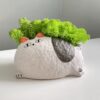 кашпо котик с мхом, горшок котик для цветов, керамическое кашпо кот, декоративный горшок с мхом, оригинальные кашпо, стабилизированный мох в горшке, кашпо кот с ушками, горшок для суккулентов, кашпо с стабилизированными растениями, кашпо животные, горшок для растений оригинальный, декоративные керамические кашпо,кашпо котик з мохом, горщик котик для квітів, керамічне кашпо кіт, декоративний горщик з мохом, оригінальні кашпо, стабілізований мох у горщику, кашпо кіт з вушками, горщик для сукулентів, кашпо зі стабілізованими рослинами, кашпо тварини, горщик для рослин оригінальний, декоративні керамічні кашпо