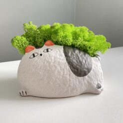 кашпо котик с мхом, горшок котик для цветов, керамическое кашпо кот, декоративный горшок с мхом, оригинальные кашпо, стабилизированный мох в горшке, кашпо кот с ушками, горшок для суккулентов, кашпо с стабилизированными растениями, кашпо животные, горшок для растений оригинальный, декоративные керамические кашпо,кашпо котик з мохом, горщик котик для квітів, керамічне кашпо кіт, декоративний горщик з мохом, оригінальні кашпо, стабілізований мох у горщику, кашпо кіт з вушками, горщик для сукулентів, кашпо зі стабілізованими рослинами, кашпо тварини, горщик для рослин оригінальний, декоративні керамічні кашпо