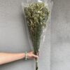 стабілізована статиця, лаймова статиця, стабілізована статиця, декор стабілізованими квітами, букет статиці, лаймова стабілізована статиця, стабілізовані квіти для декору, стабілізована флористика, стабілізовані рослини, статиця для декору, стабілізована статиця купити, букет кермек, стабілізовані квіти лаймові, лаймова статиця для декору, стабілізовані квіти купити, стабілізований букет, стабілізована флора, стабілізовані квіти для інтер'єру, стабилизированная статица, лаймовая статица, стабилизированная статица, декор стабилизированными цветами, букет статицы, лаймовая стабилизированная статица, стабилизированные цветы для декора, стабилизированная флористика, стабилизированные растения, статица для декора, стабилизированная статица купить, букет кермек, стабилизированные цветы лаймовые, лаймовая статица для декора, стабилизированные цветы купить, стабилизированный букет, стабилизированная флора, стабилизированные цветы для интерьера