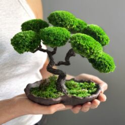 декоративное дерево из мха и кочки, стабилизированное дерево для интерьера, миниатюрное дерево в керамическом горшке, дерево с мхом для декора, стабилизированное дерево с кочкой, дерево бонсай из мха стабилизированное, уникальное дерево для украшения дома, дерево с керамическим основанием, дерево из стабилизированного мха для дома, декоративное дерево в керамической чаше, дерево ручной работы с мхом, дерево бонсай с зеленым мхом, декоративне дерево з моху і кочки, стабілізоване дерево для інтер’єру, мініатюрне дерево в керамічному горщику, дерево з мохом для декору, стабілізоване дерево з кочкою, дерево бонсай з моху стабілізоване, унікальне дерево для прикраси дому, дерево з керамічною основою, дерево з стабілізованого моху для дому, декоративне дерево в керамічній чаші, дерево ручної роботи з мохом, дерево бонсай із зеленим мохом.