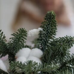 новогодняя композиция с нобилисом 20х8 см, ваза с елочными ветками 20 см, гипсовая ваза с декором, зимний декор с хлопком, новогодний букет с нобилисом, композиция с ветками нобилиса, праздничный декор для дома, мини-композиция с нобилисом, новогодняя ваза с букетом, декор для праздничного стола, гипсовая композиция с нобилисом, новогодний подарок с декором, новорічна композиція з нобілісом 20х8 см, ваза з ялинковими гілками 20 см, гіпсова ваза з декором, зимовий декор з бавовною, новорічний букет з нобілісом, композиція з гілками нобілісу, святковий декор для дому, міні-композиція з нобілісом, новорічна ваза з букетом, декор для святкового столу, гіпсова композиція з нобілісом, новорічний подарунок з декором
