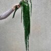 стабилизированный амарант зеленый, декоративный амарант для декора, амарант стабилизированный для композиций, зеленый амарант для букетов, стабилизированные растения для интерьера, амарант для свадебного декора, амарант зеленый стабилизация, яркий декоративный материал амарант, амарант для фотозоны, стабилизированный амарант для интерьера, амарант стабилизированный купить, зеленый амарант для украшений, стабілізований амарант зелений, декоративний амарант для декору, амарант стабілізований для композицій, зелений амарант для букетів, стабілізовані рослини для інтер'єру, амарант для весільного декору, амарант зелений стабілізація, яскравий декоративний матеріал амарант, амарант для фотозони, стабілізований амарант для інтер'єру, амарант стабілізований купити, зелений амарант для прикрас