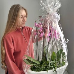 Подарункова квіткова композиція з ніжними орхідеями у вишуканому вазоні для інтер’єру та святкових подій