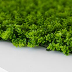Панель из искусственной зелени Самшит