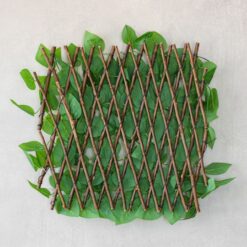 Панель з лози Фікус