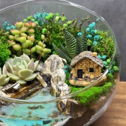 Флораріум з сукулентами та кам’яною хаткою