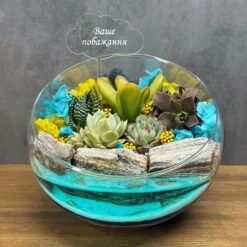 Флораріум із сукулентами та топером Хмаринка