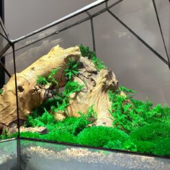 Флорариум Горный водопад с мхом и лампой