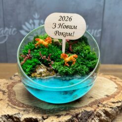 мосариум с мхом и имитацией водоема
