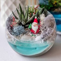 флораріум з сукулентами
