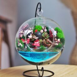 флораріум у підвісній кулі з сукулентами