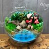 флорариум с суккулентами